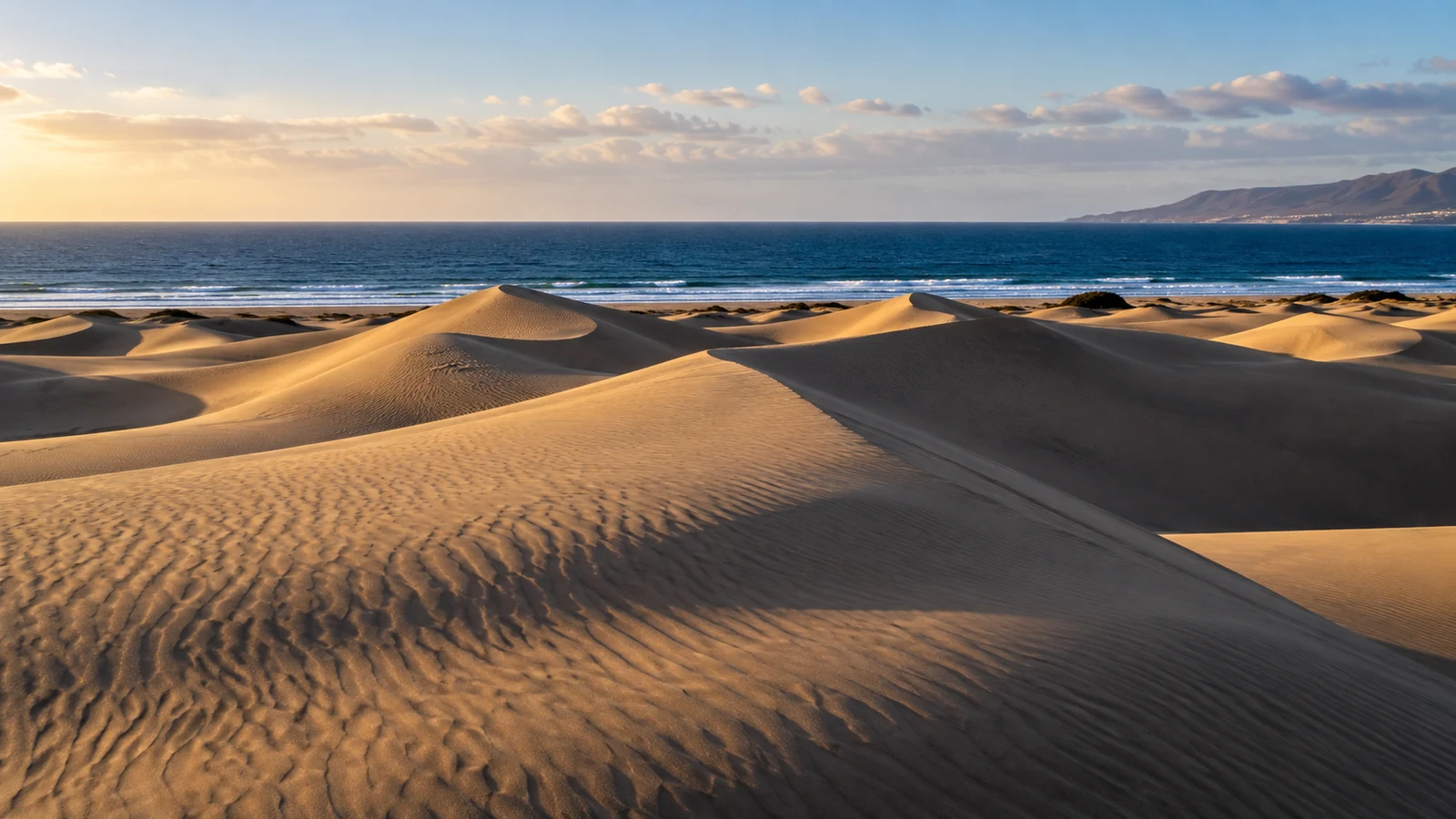 Wind-sculpted dunes with the Atlantic Ocean beyond in Gran Canaria